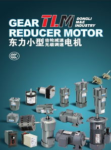 電動機(jī) 東力電機(jī) 北京 服務(wù)中心