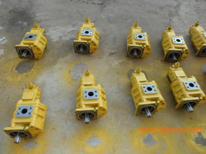 專業雙聯齒輪油泵選購指南 廠家、型號、質量與價格全解析